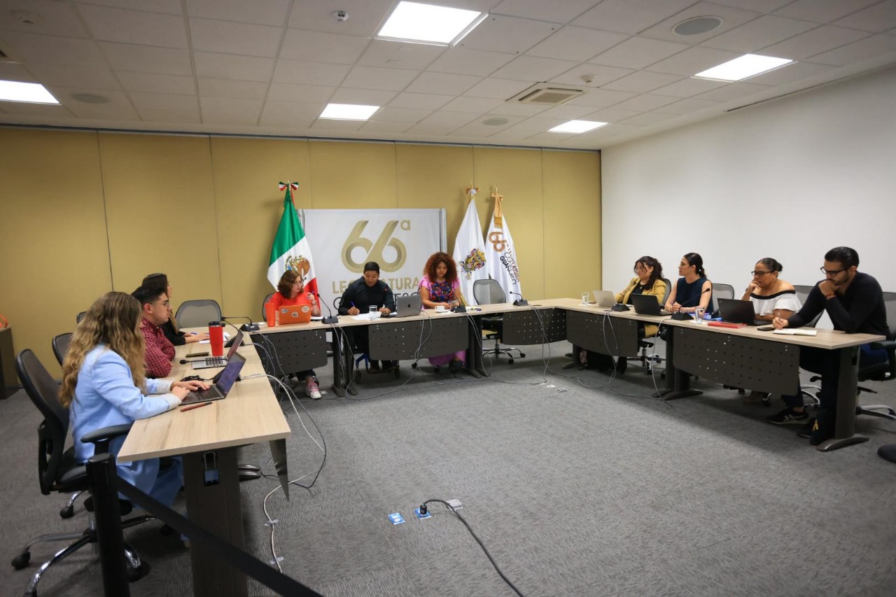 EN EL CONGRESO DEL ESTADO DE GUANAJUATO REALIZAN ESTUDIO DE INICIATIVA EN TEMAS DE JUVENTUDES