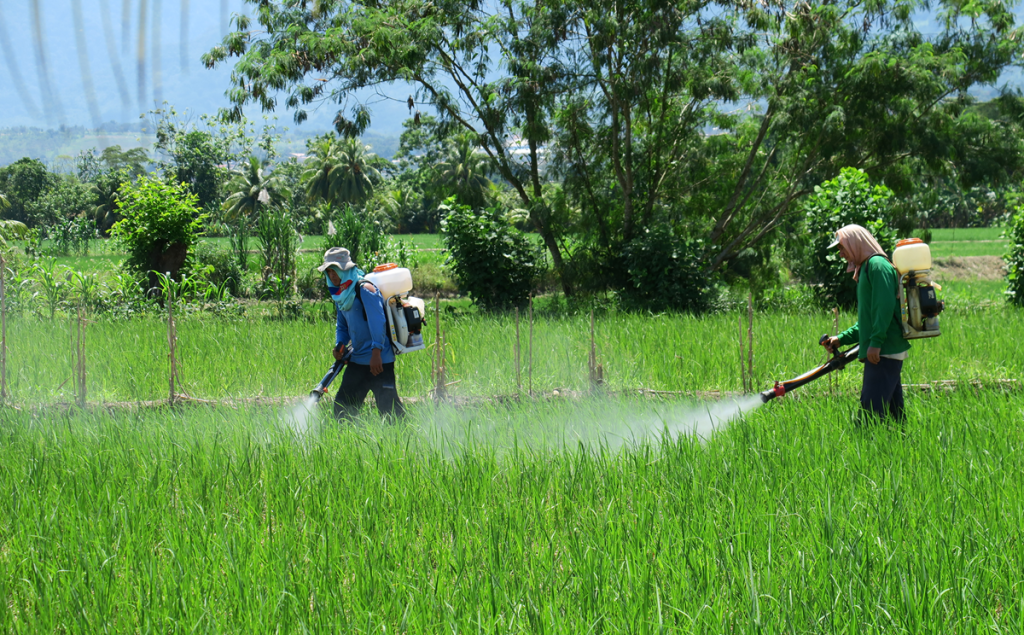 COMBATIR PLAGUICIDAS ILEGALES, VERDADERO DESAFÍO EN LA AGRICULTURA: OCAÑA ROMO