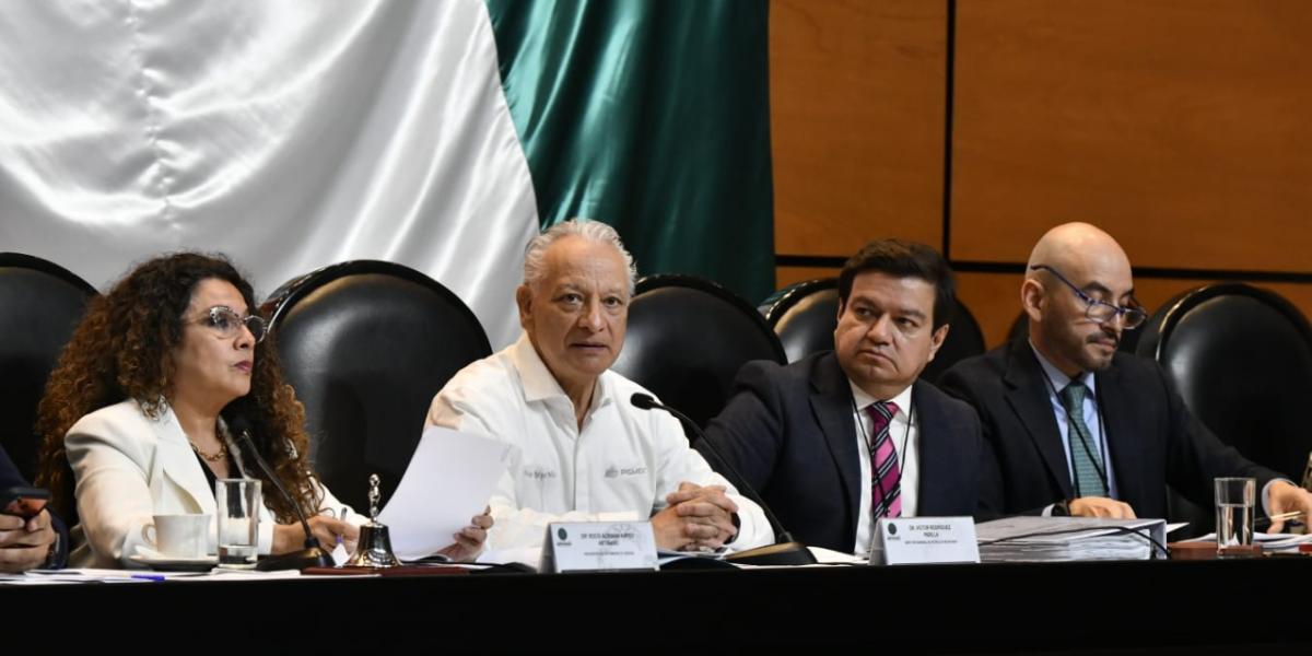 Precio de petróleo y gas, situación financiera y huachicol fiscal, entre cuestionamientos de diputadas y diputados al director general de Pemex.