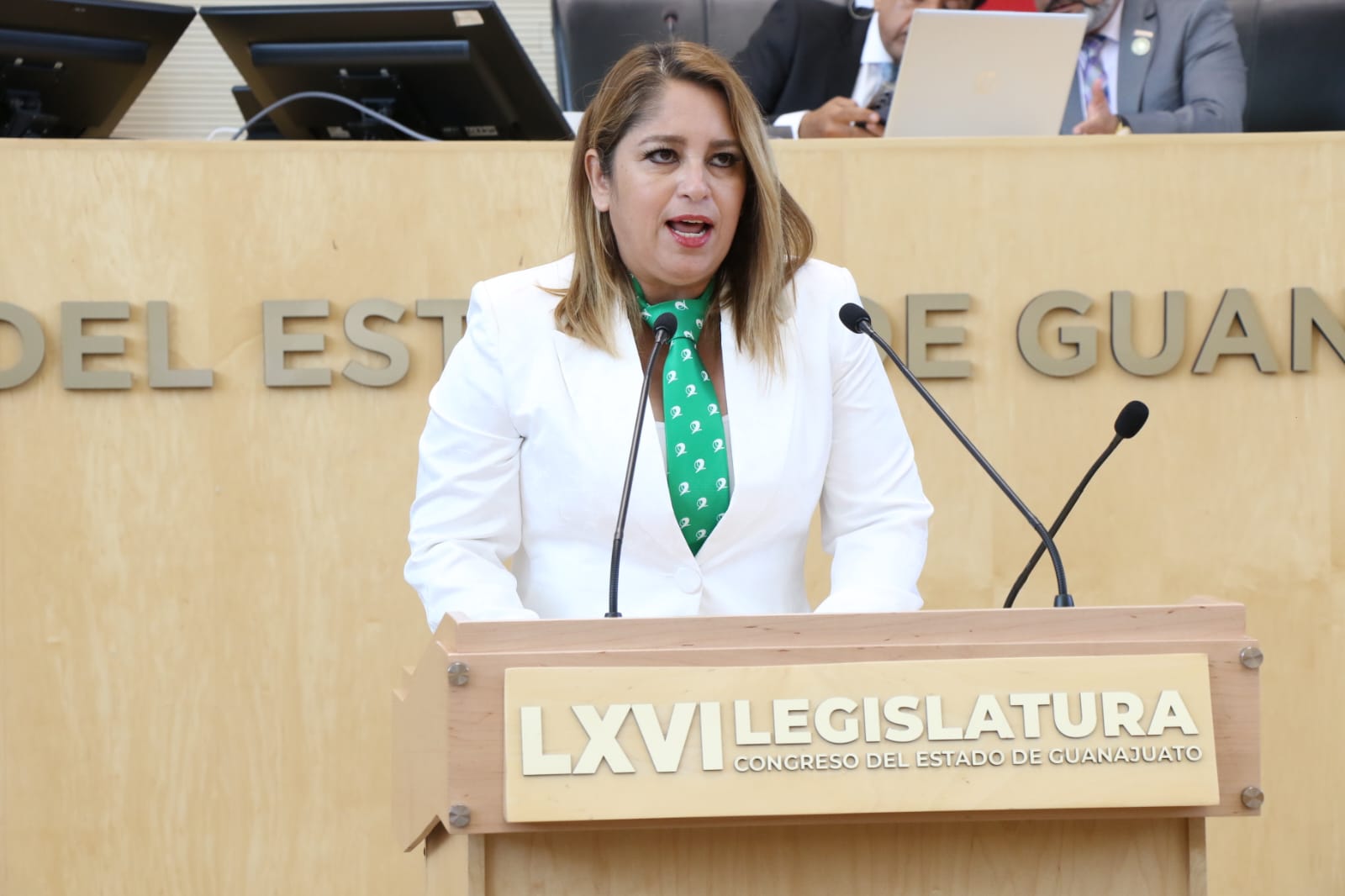 EN GUANAJUATO DE NUEVA CUENTA PRESENTA INICIATIVA EN MATERIA DE INTERRUPCIÓN LEGAL DEL EMBARAZO.