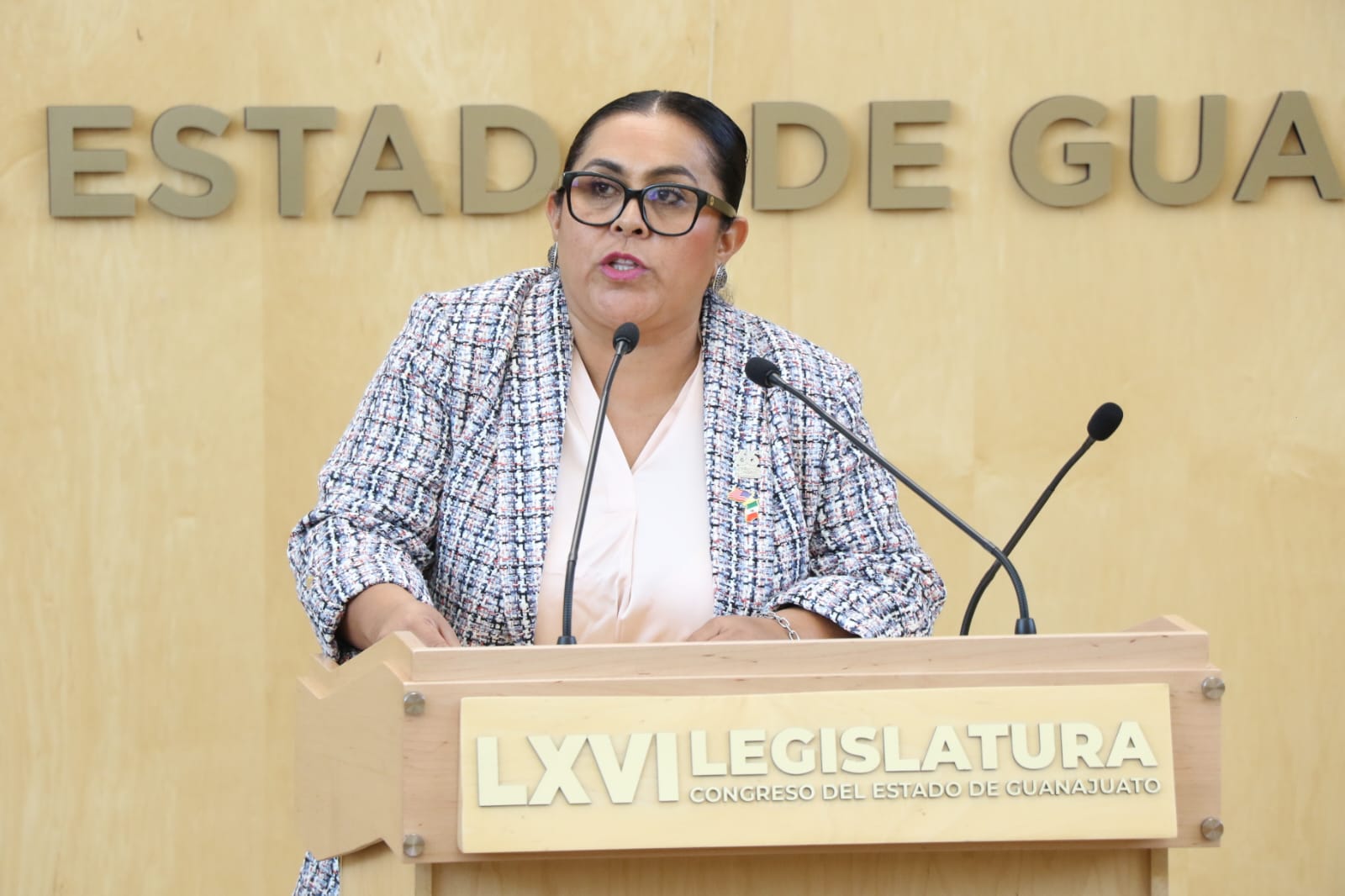 YESENIA ROJAS CERVANTES BUSCA DAR MAYOR PROTECCIÓN A LA UNIDAD FAMILIAR DE LAS PERSONAS MIGRANTES.