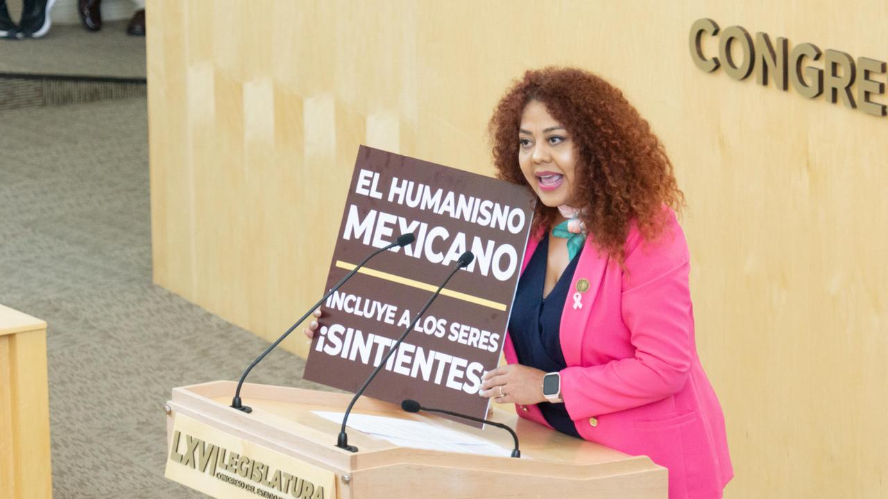 DESDE EL CONGRESO DEL ESTADO DE GUANAJUATO EXIGEN SANCIONES PARA GERÓNIMO YEBRA POR CASO DE MALTRATO ANIMAL.