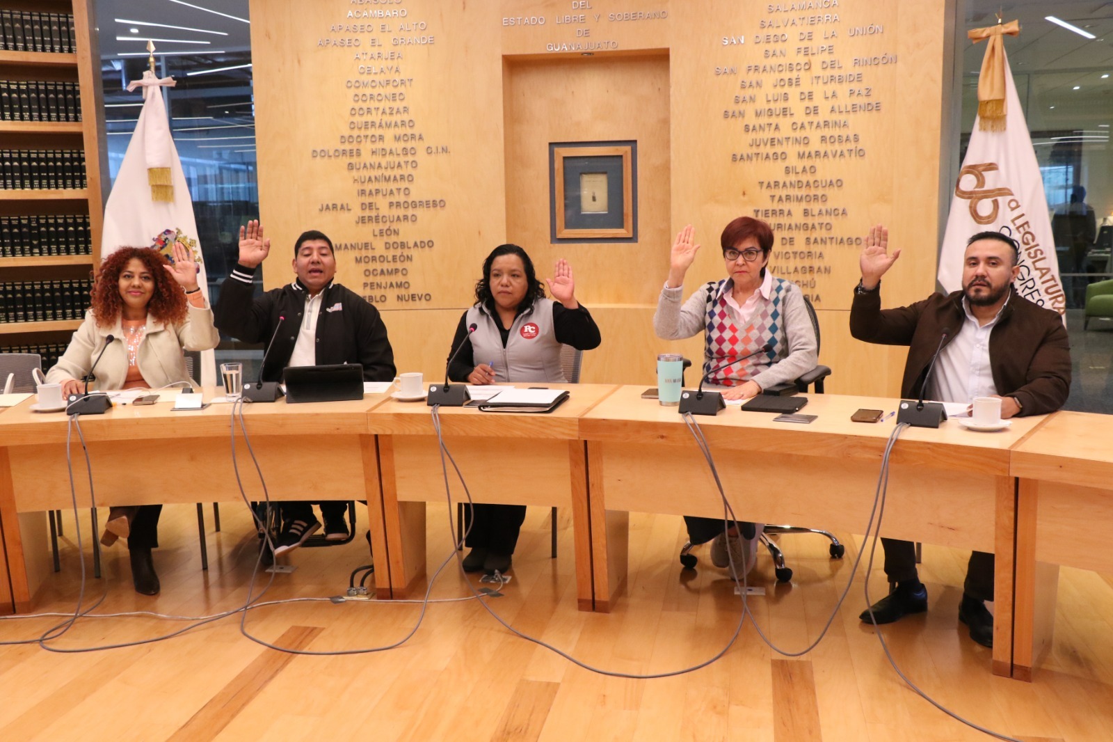 REFORMA A LA LEY DE LOS DERECHOS DE NIÑAS, NIÑOS Y ADOLESCENTES DEL ESTADO DE GUANAJUATO PARA ESTABLECER QUE LA ADOPCIÓN SERÁ PLENA E IRREVOCABLE.