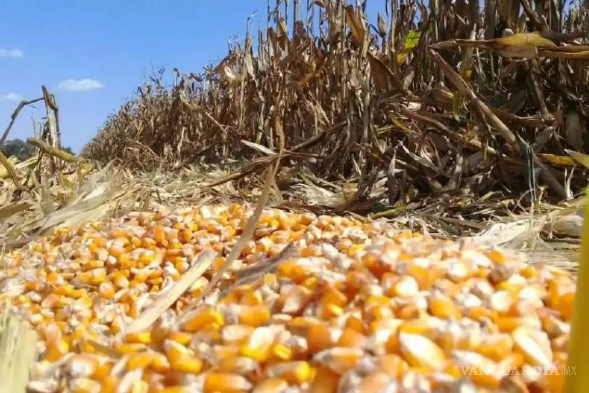 PROPUESTA DE PRODUCTORES ABRE RUTA DE CONFRONTACIÓN.