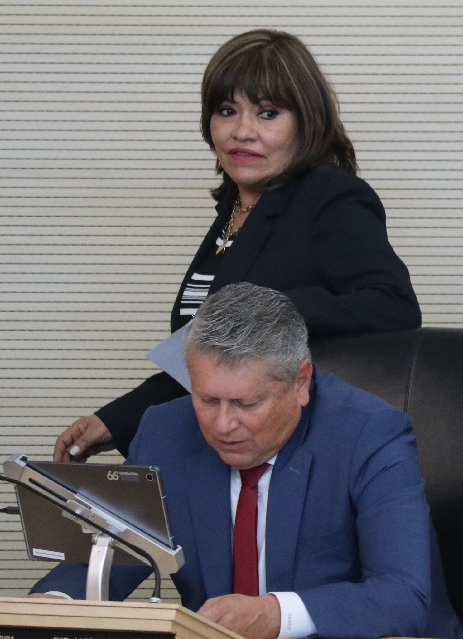 LA DIPUTADA DEL PRI RUTH TISCAREÑO BUSCA FORTALECER MEDIDAS DE SEGURIDAD EN HOSPEDAJE PARA PROTEGER A NIÑOS, NIÑAS Y ADOLECENTES