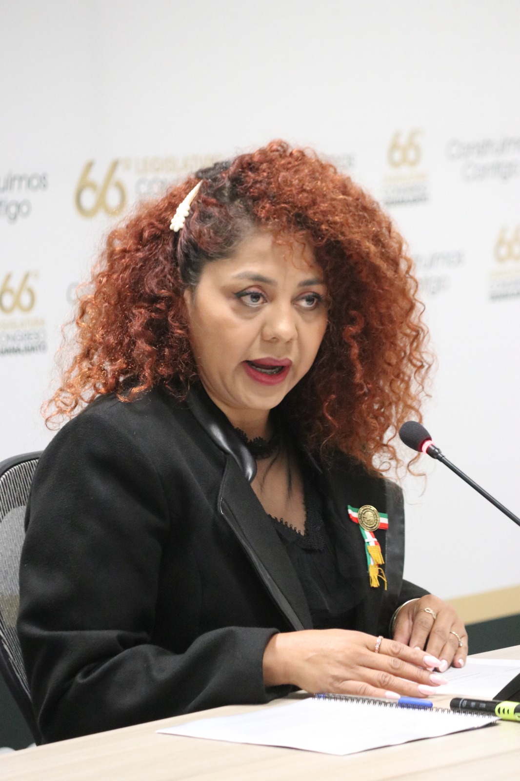 EN LA COMISIÓN DE SALUD ANALIZAN PROPUESTA QUE BUSCA REGULAR LA PIROTECNIA