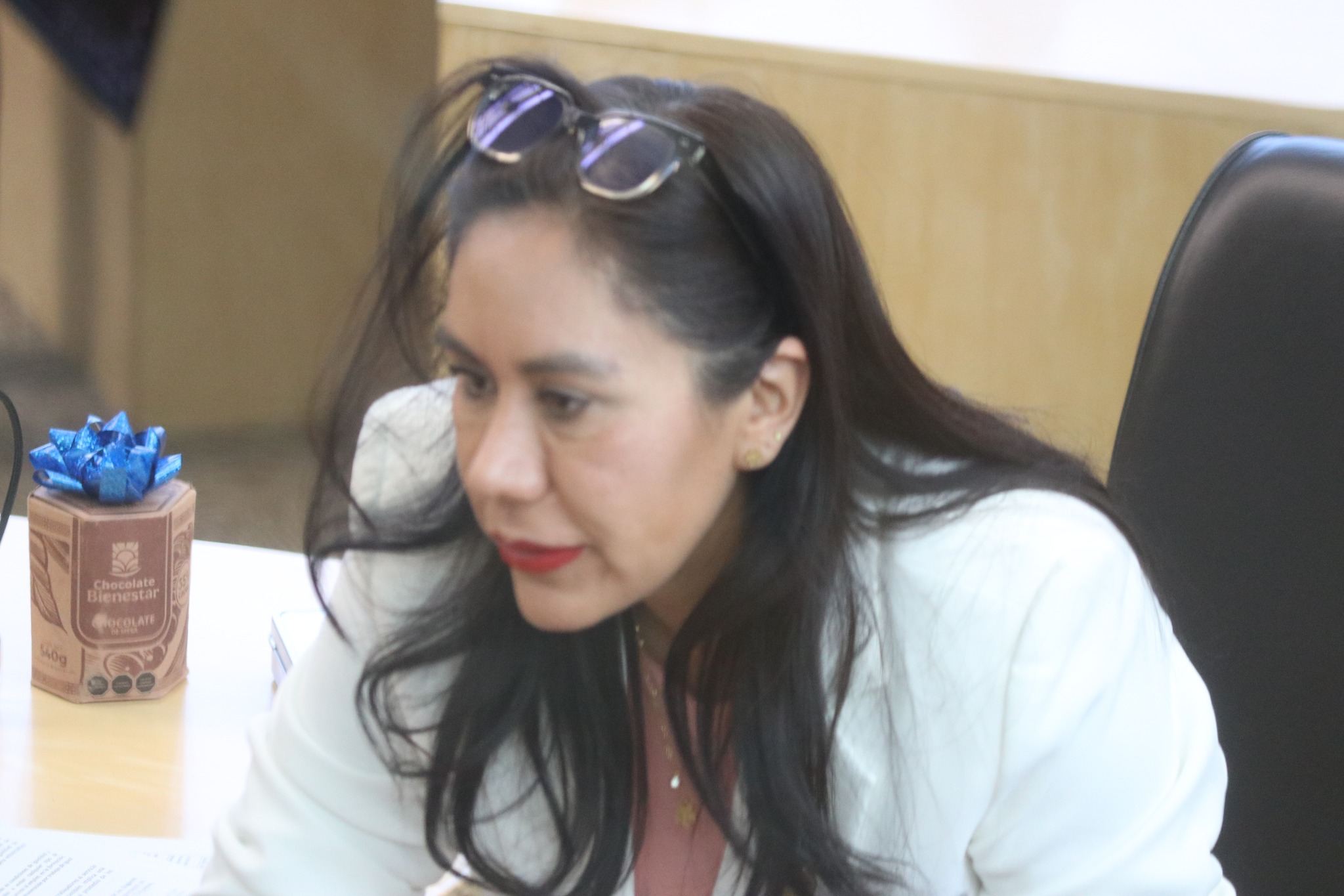 Impulsan agenda legislativa para fortalecer la igualdad en Guanajuato Susana Bermúdez Cano