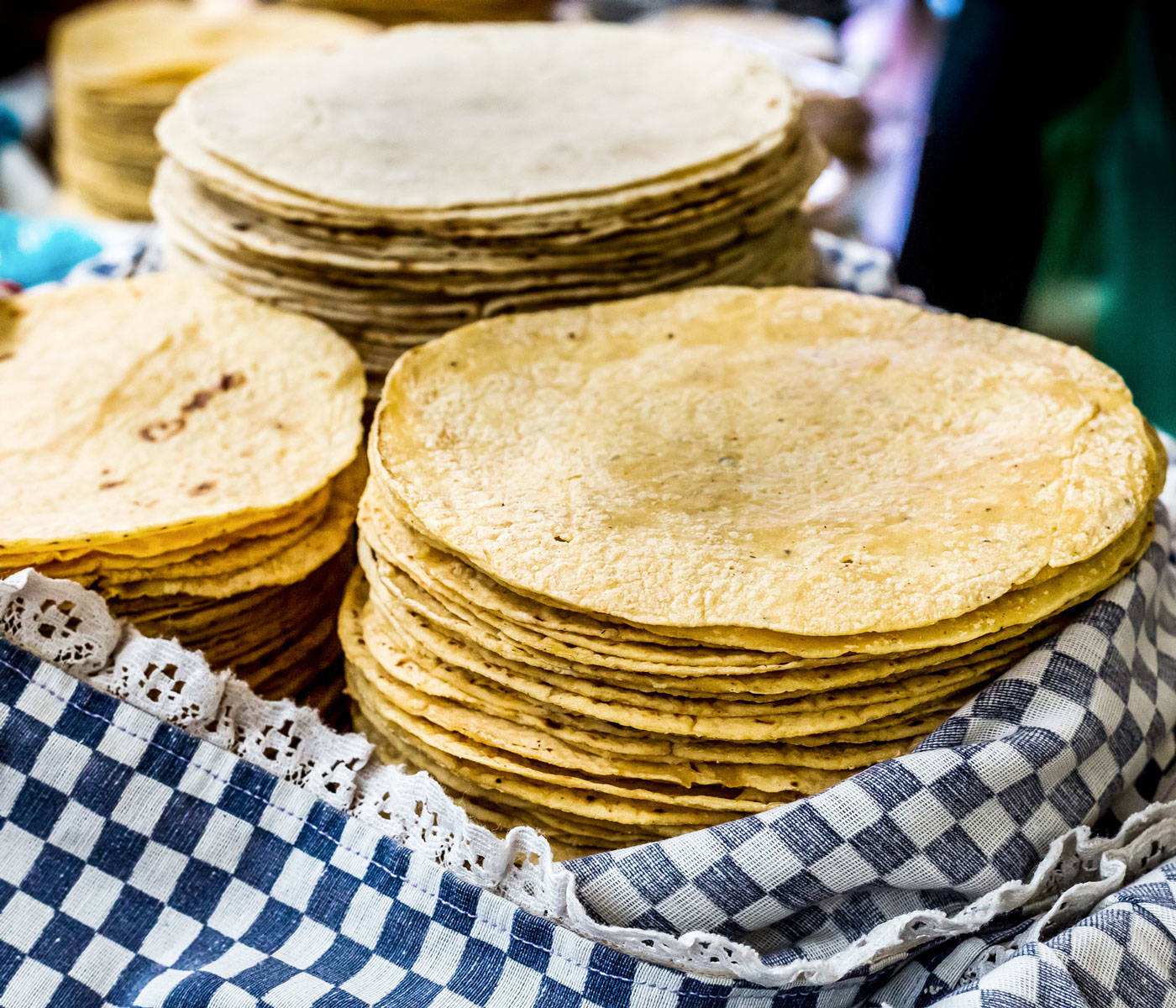 EN EL CONGRESO DEL ESTADO DE GUANAJUATO PIDEN ACCIONES INTEGRALES PARA ESTABILIZAR EL PRECIO DE LA TORTILLA