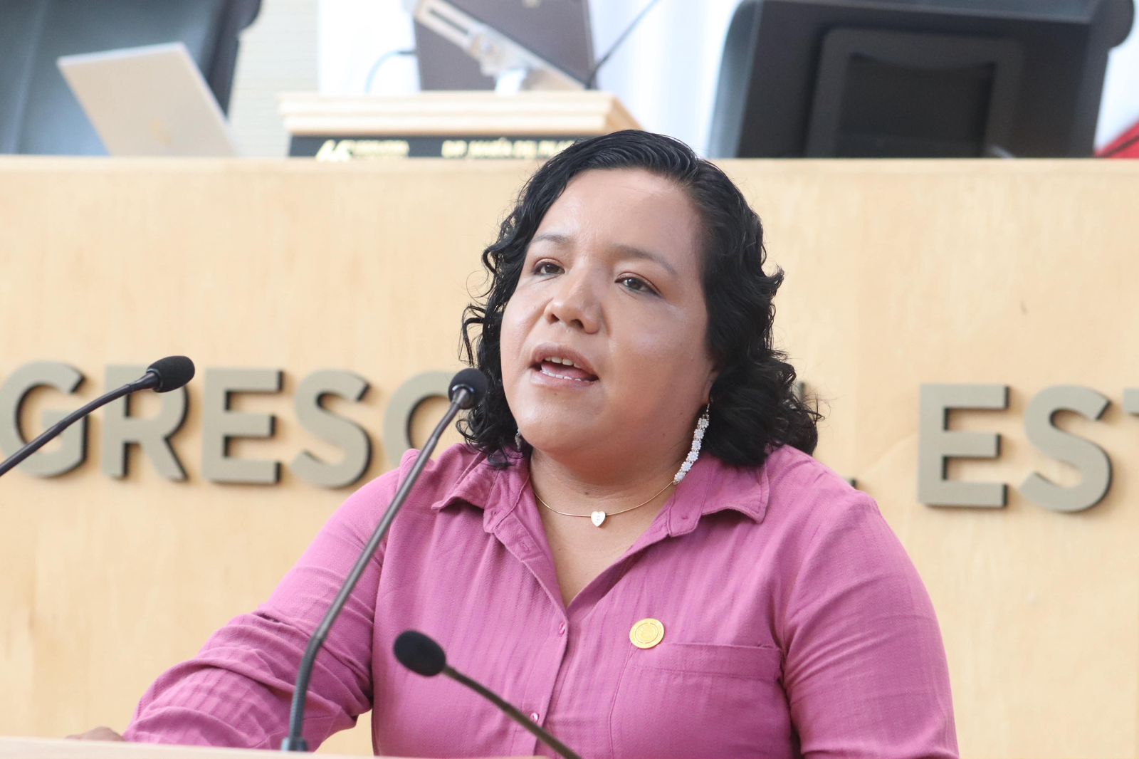 LA PRESIDENTA DE LA COMISION DE DERECHOS HUMANOS DEL CONGRESO DEL ESTADO PLASIDA CALZADA PROPONE QUE SE RECONOZCAN A LAS AUTORIDADES INDIGENAS Y AFROMEXICANAS EN GUANAJUATO