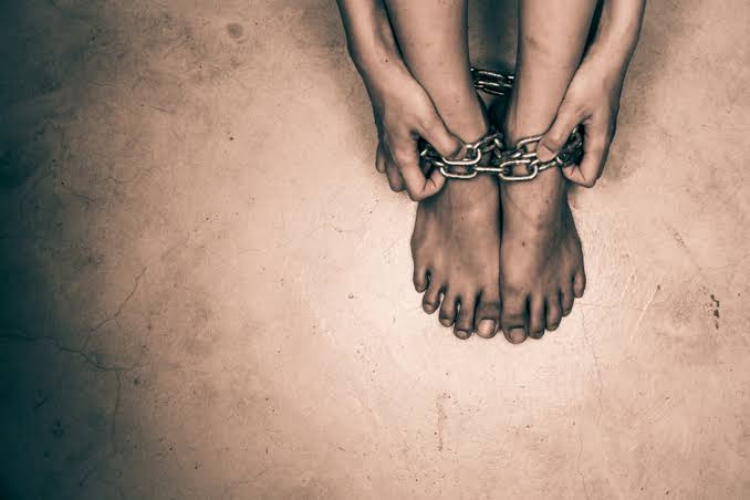 Combatir la trata de personas exige enfrentar las redes de fraude digital: Mejía Berdeja