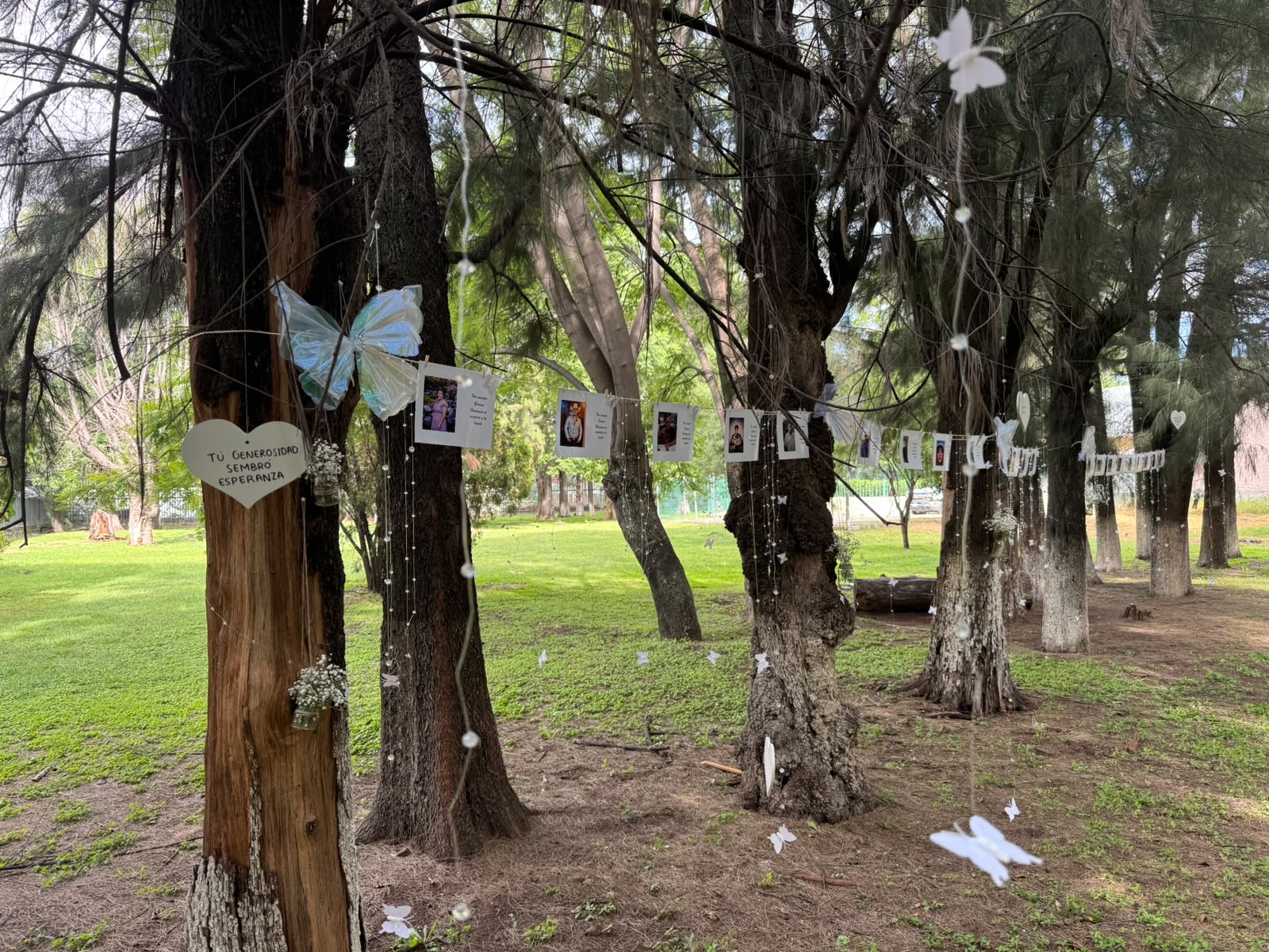 LOGRA HGZ NO. 2 DEL IMSS IRAPUATO 10 DONACIONES DE ÓRGANOS Y TEJIDOS EN 2026.