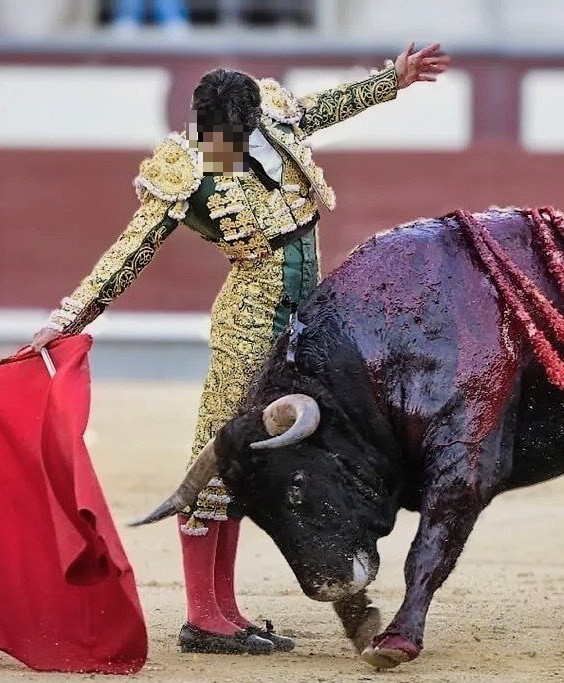 LA CORRIDA DE TOROS AUNCIADA PARA ESTE PROXIMO 23 DE OCTUBRE EN SAN MIGUEL DE ALLENDE NO TIENE PERMISO.
